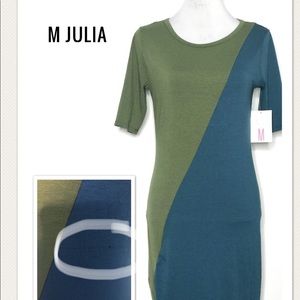 NWT LuLaRoe M Julia Dress